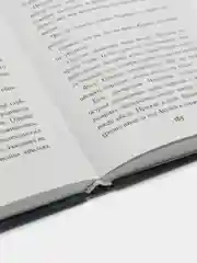 Драконья сага. Потерянная принцесса, Туи Т. Сазерленд