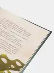 Герда. История одного кита, Махо А.