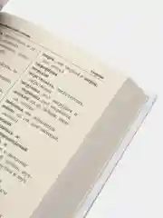 Новый орфографический словарь русского языка для школьников,