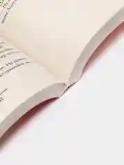 Шпионы тоже лохи, Вильмонт Е.Н.