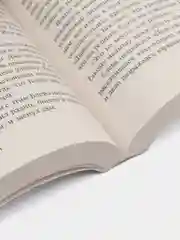 Блейз, Кинг С.
