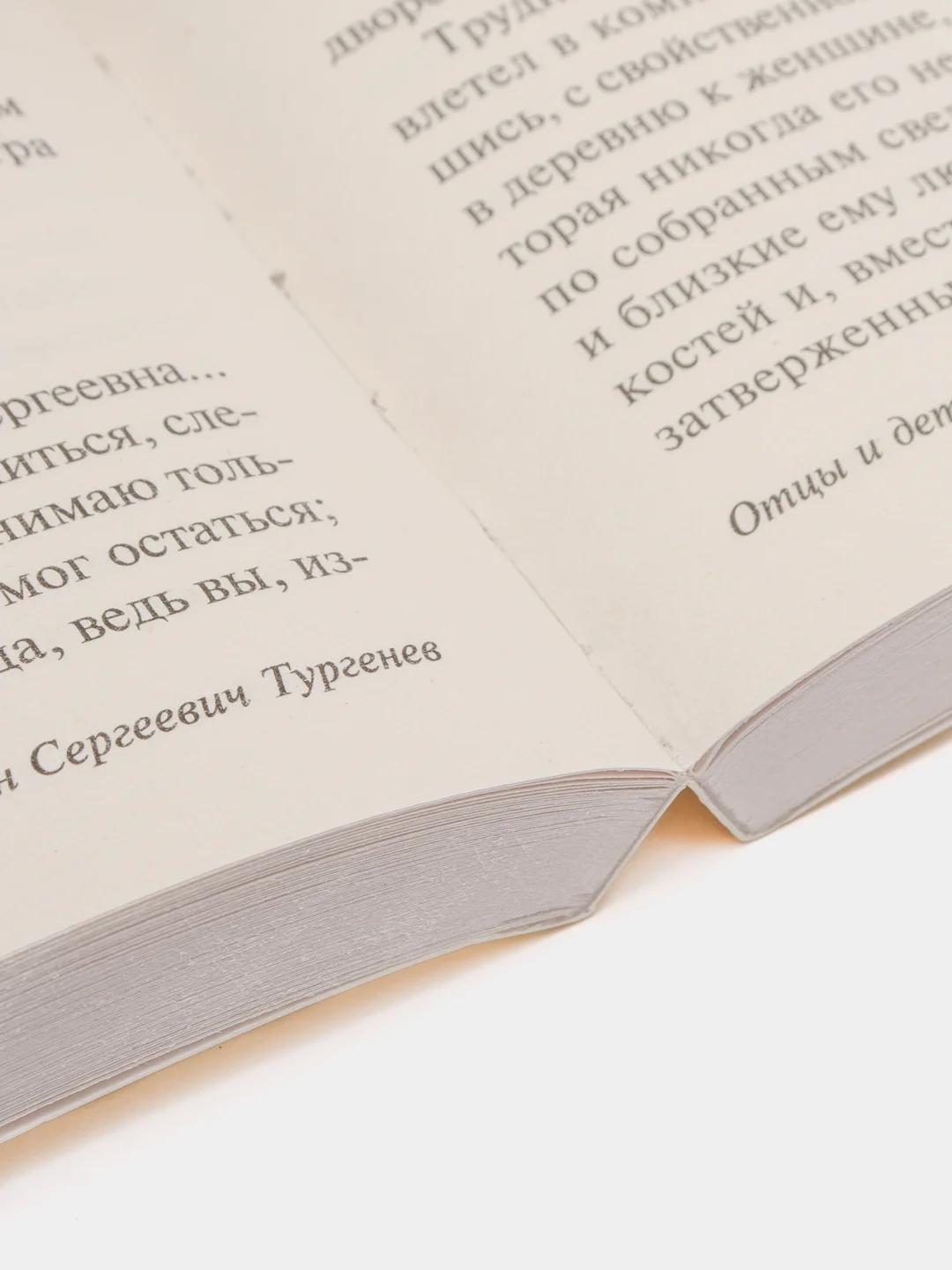 Отцы и дети, Тургенев И.С.