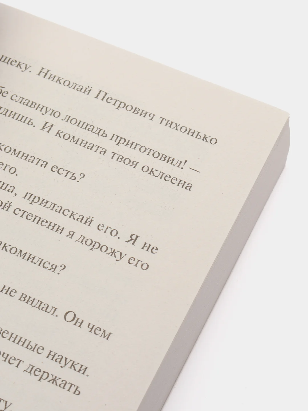 Отцы и дети, Тургенев И.С.