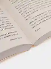 Кэрри, Кинг С.