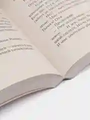 Стрелок, Кинг С.