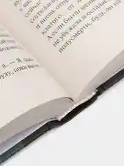 Грозовой перевал, Бронте Э.