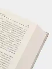 С неба упали три яблока. Люди, которые всегда со мной. Зулали, Абгарян Н.