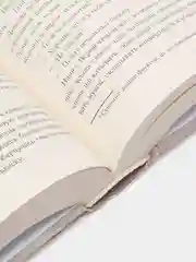 С неба упали три яблока. Люди, которые всегда со мной. Зулали, Абгарян Н.