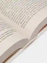 Жребий праведных грешниц (кн. 1-4), Нестерова Наталья
