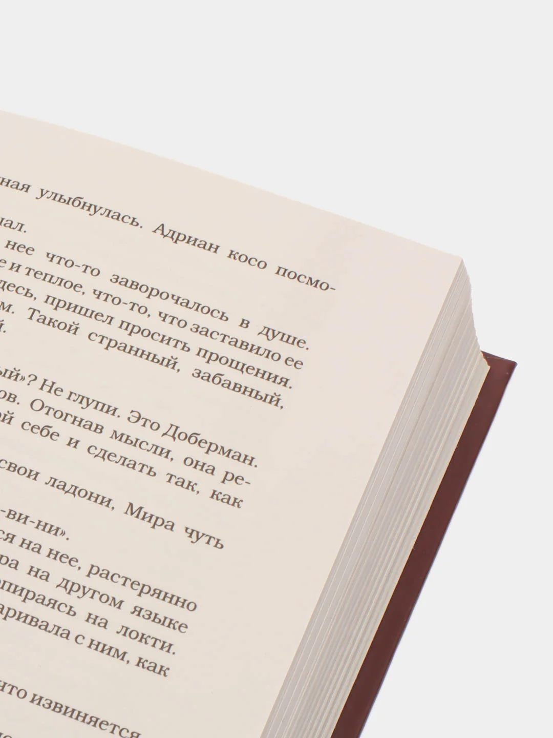 Доберман, Реми Эль