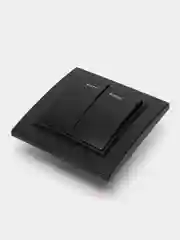 Выключатель 2-клавишный c индикатором, 250V, 10А, серия Эрна, PSW10-9002-03, черный