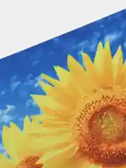 Алый игровой коврик для мыши 180*220*3 мм