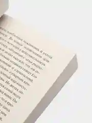 Письма Баламута. Баламут предлагает тост, Льюис К.