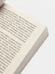 Двадцать четыре часа из жизни женщины, Цвейг С.