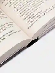 Жребий Салема, Кинг С.