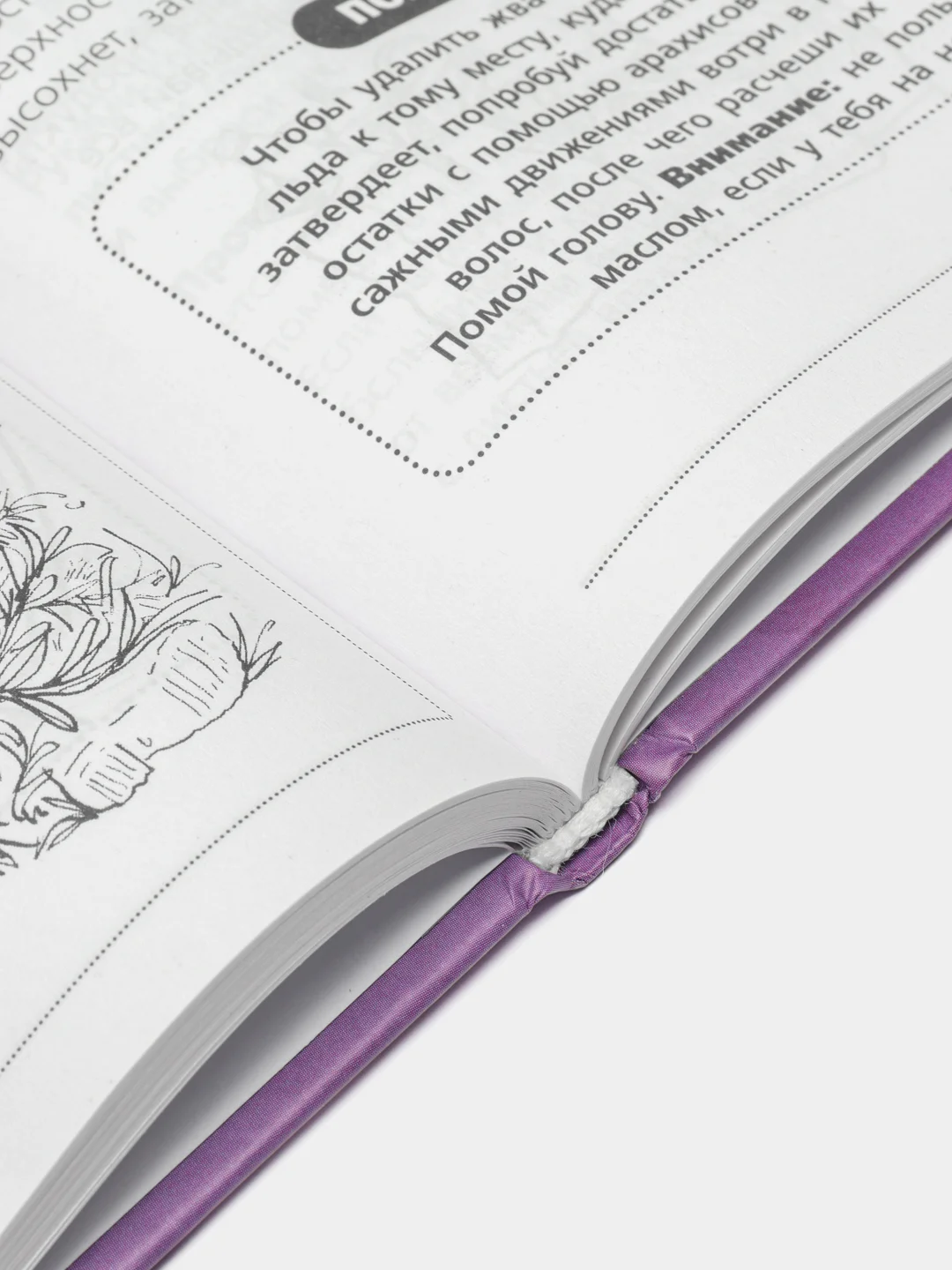 Книга для настоящих девочек, Джонсон А.