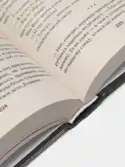 Сезон гроз, Сапковский А.
