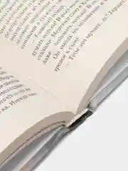 Стрелок: из цикла "Темная Башня", Кинг С.