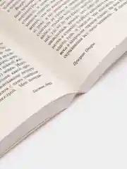 Призрак Оперы, Леру Г.