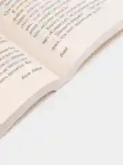 Голод, Гамсун К.