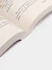Мистер Мерседес, Кинг С.