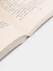 Океан в конце дороги, Гейман Н.