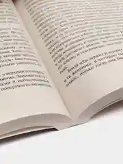 Жребий Салема, Кинг С.