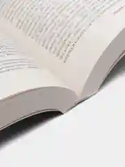 Извлечение троих: из цикла "Темная Башня", Стивен Кинг