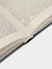 Финансист, Драйзер Т.