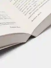 Зеленая миля, Кинг С.