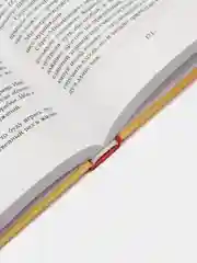 Манюня, Абгарян Н.