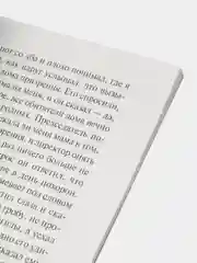 Посторонний, Альбер Камю