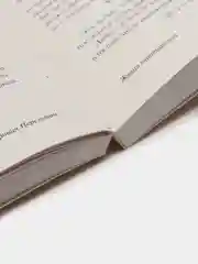 Живая математика, Я. И. Перельман