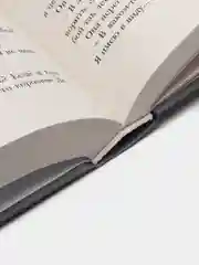 Золушка, Мейер Марисса