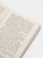 Собака Баскервилей. Долина Страха,