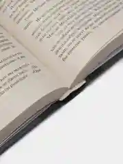 Унесенные ветром т. 2, Митчелл М.