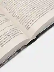 Владычица Озера, Сапковский А.