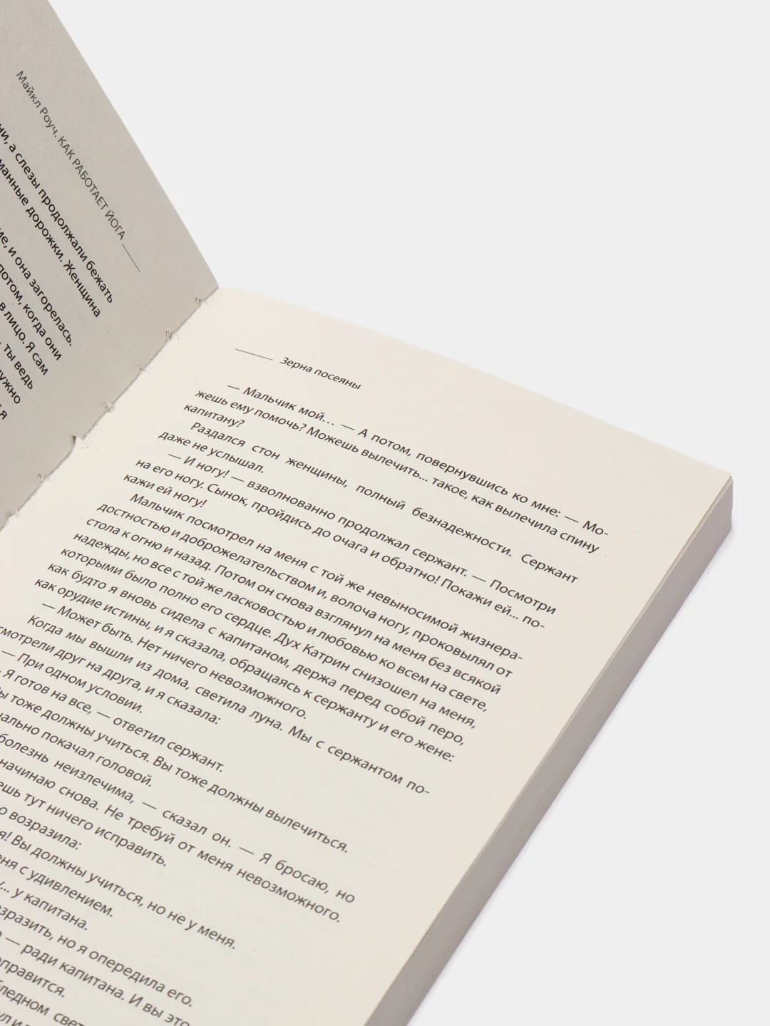 Как работает йога. Философия физического и духовного самосовершенствования, Майкл Роуч