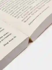 Золотой жук,