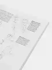 Основы рисования,