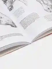 Основы рисования,