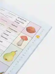 Русско-английский словарик в картинках для начальной школы,