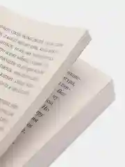 Письмо незнакомки, Цвейг С.