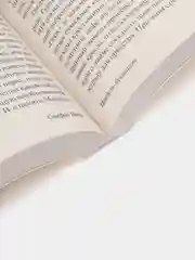 Письмо незнакомки, Цвейг С.