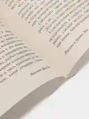 Письма к брату Тео,