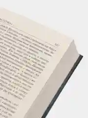 Башня Ласточки, Сапковский А.