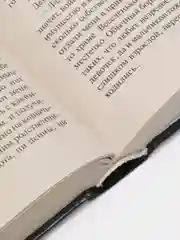 Башня Ласточки, Сапковский А.