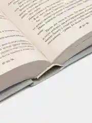 Правление волков, Бардуго Л.
