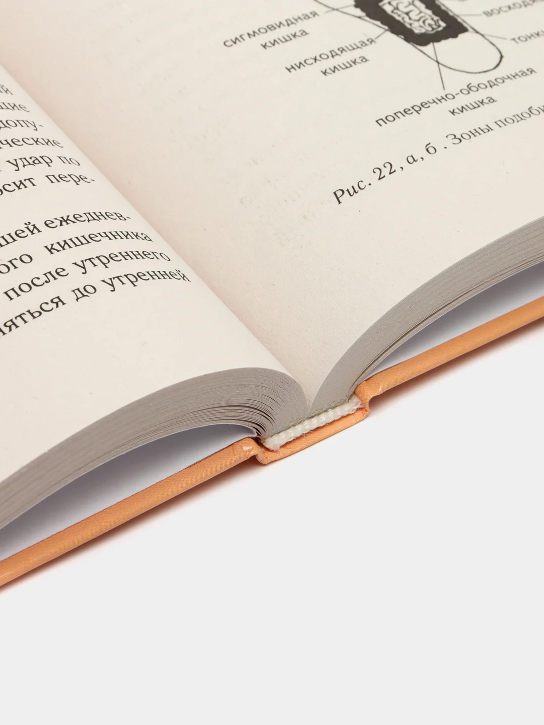 Большая книга Су-джок. Атлас целительных точек для здоровья и долголетия, Минь Лао