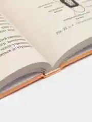 Большая книга Су-джок. Атлас целительных точек для здоровья и долголетия, Минь Лао